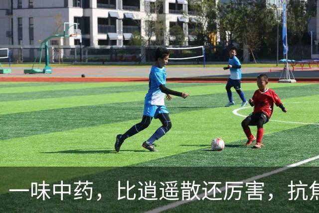 一味中药，比逍遥散还厉害，抗焦虑、抗抑郁，失眠、多梦、健忘也能治